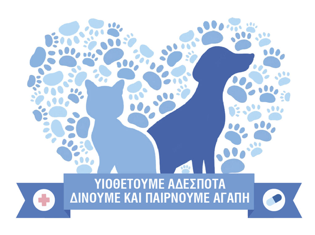 Η έλλειψη ενημέρωσης οδηγεί στην παγίωση μιας νοοτροπίας αδιαφορίας ή ακόμη και βίας προς τα αδέσποτα ζώα