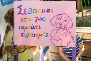 Η πραγματικότητα πίσω από τα αδέσποτα ζώα, είναι πολύ σκληρή